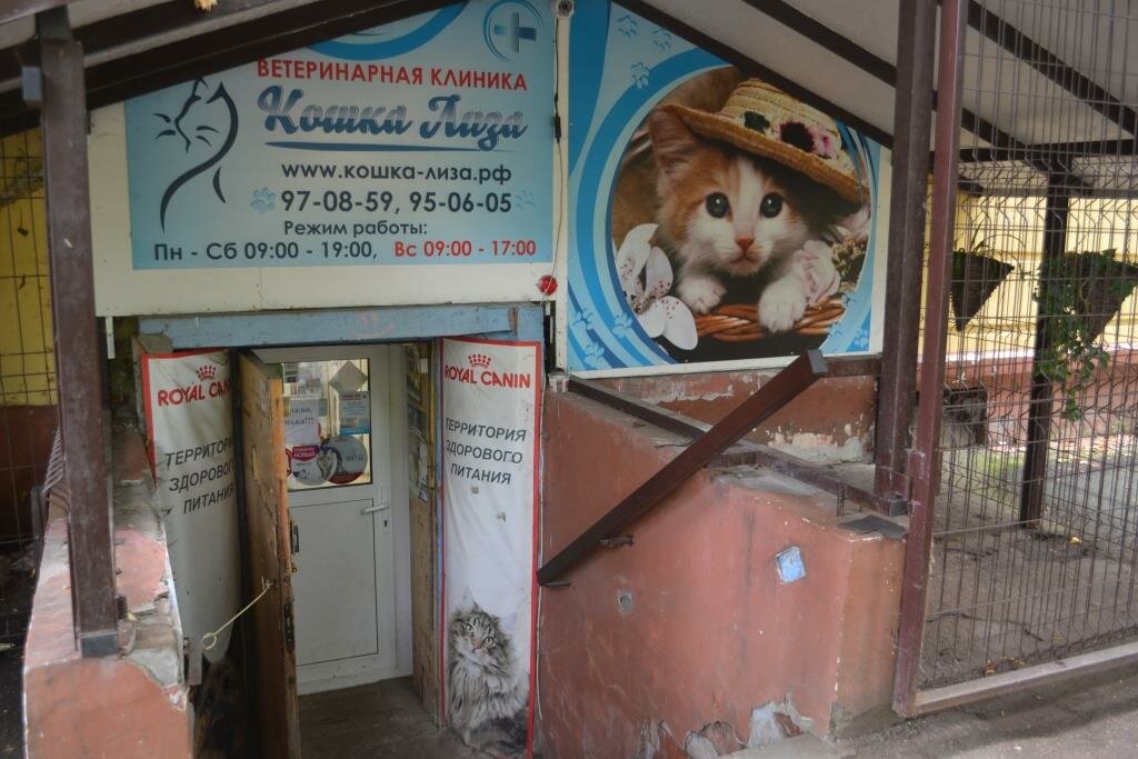 Фото клиники 15927
