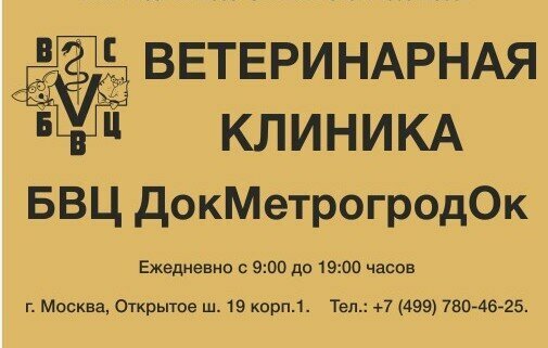 Фото клиники 54998