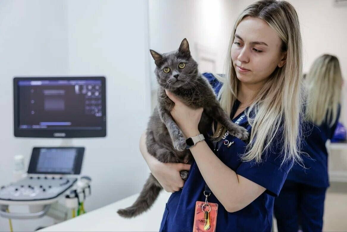 clinic general image