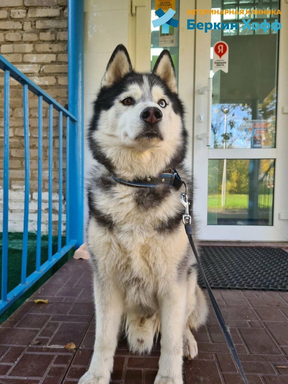 Фото клиники 82744