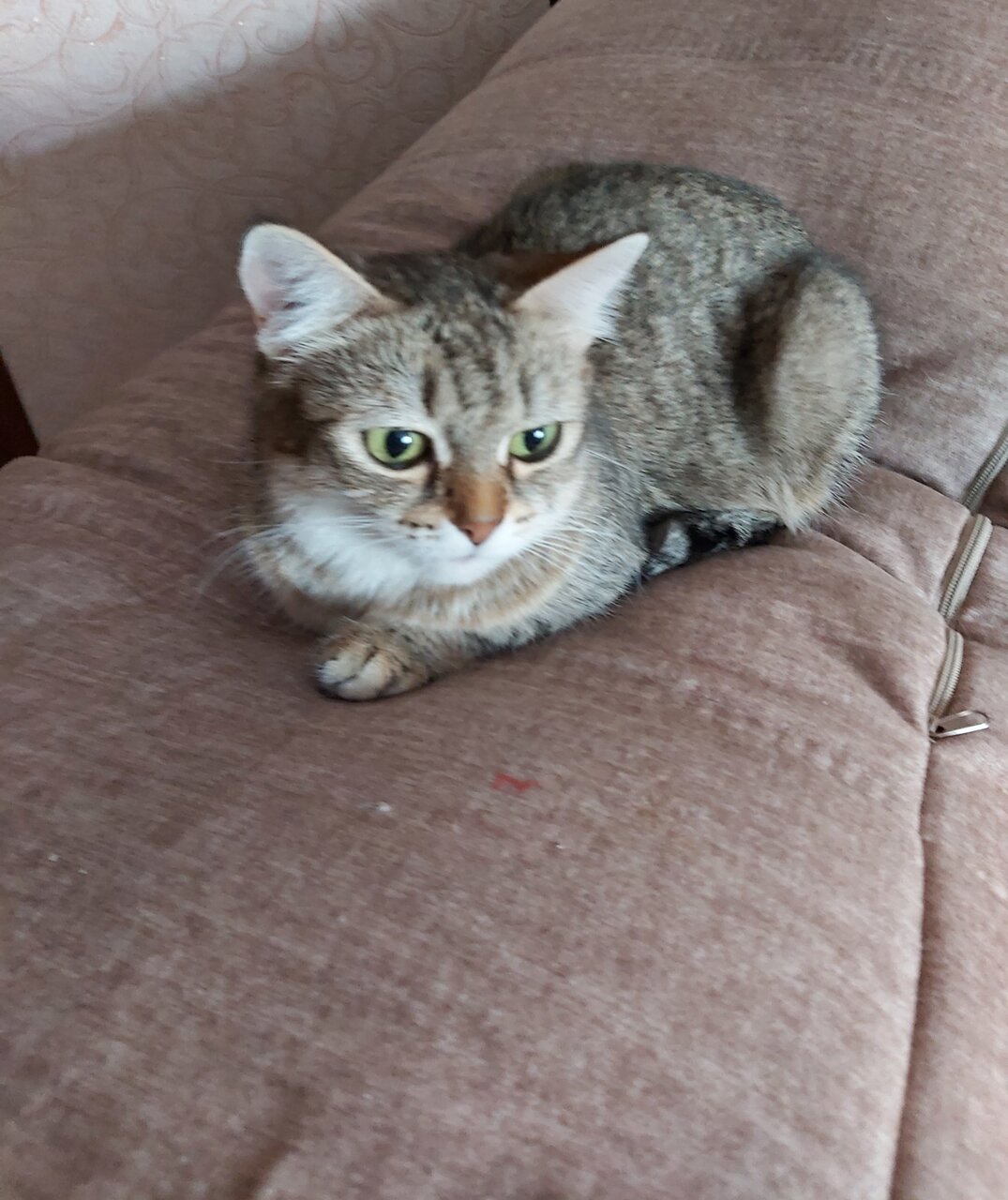 more clinic photos 75114