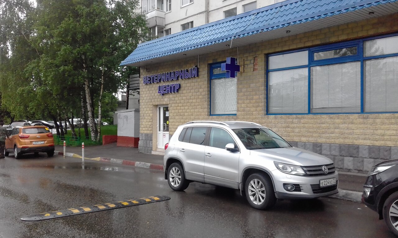 Фото «Ласка»