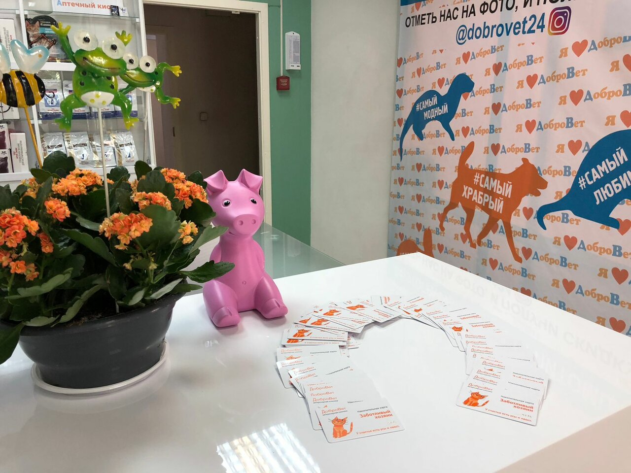 Фото клиники 84975