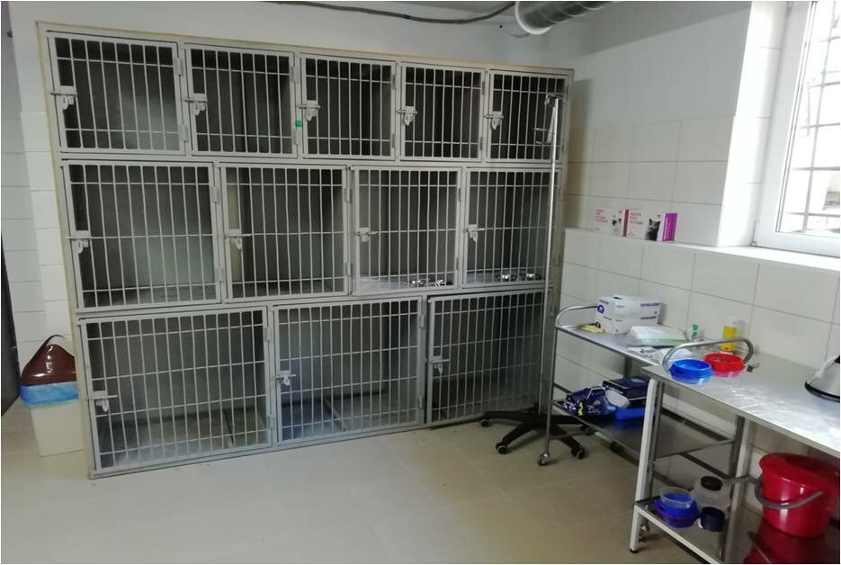 more clinic photos 18060