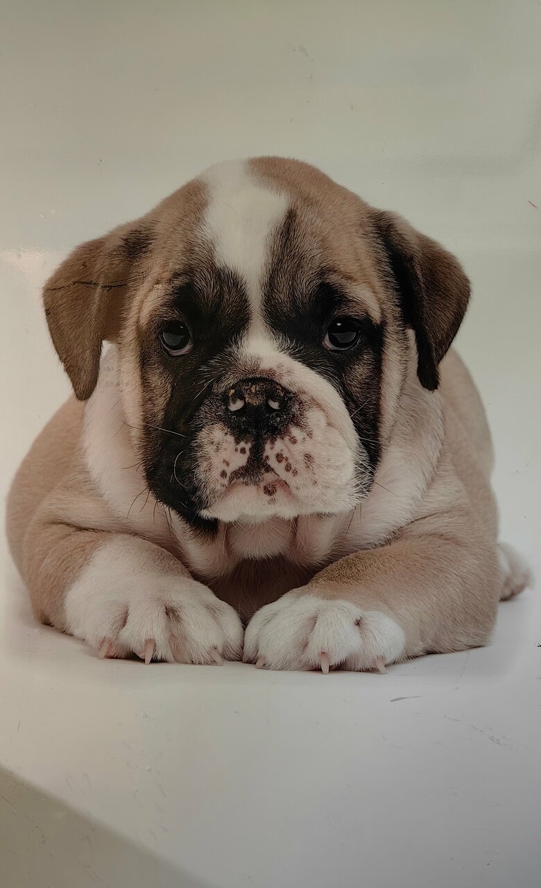 more clinic photos 105