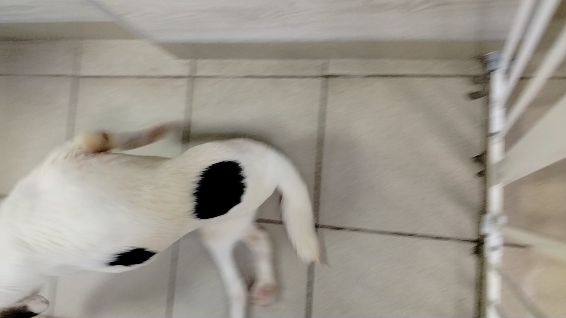 clinic general image