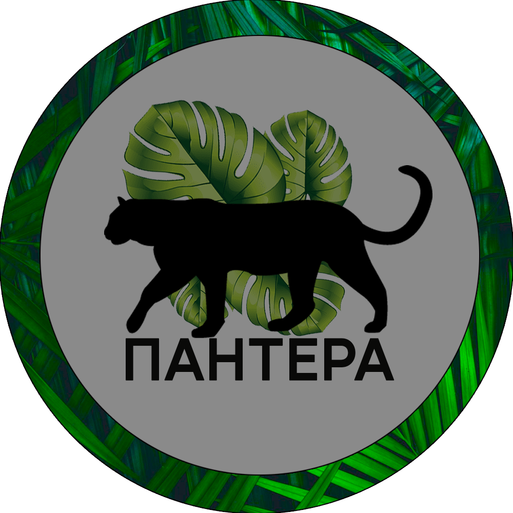 Логотип клиники