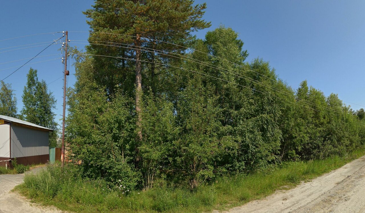 Ваш Айболит