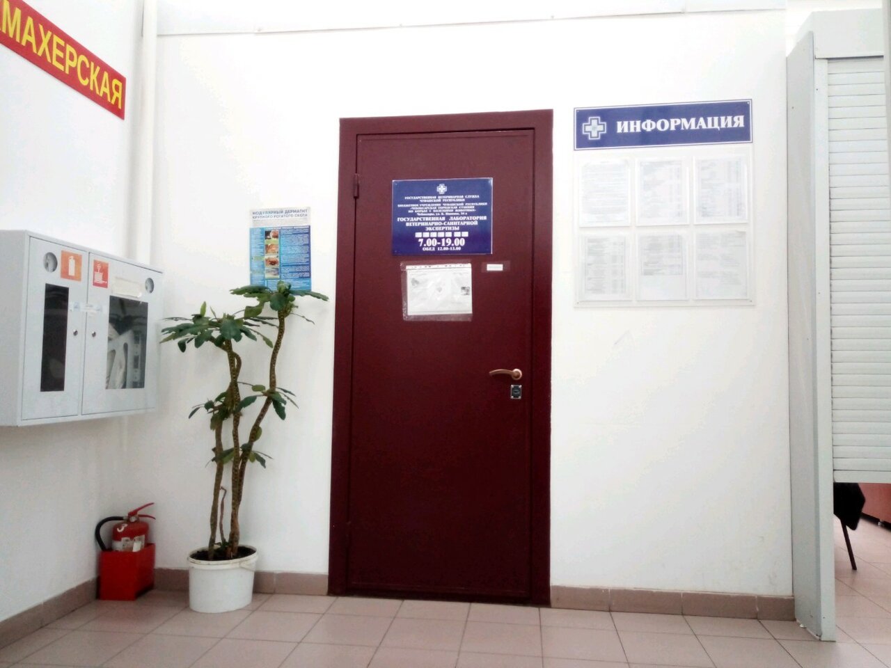 Фото клиники 72844