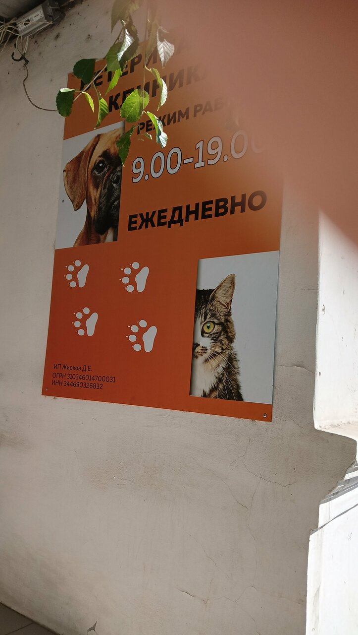 Фото клиники 66112