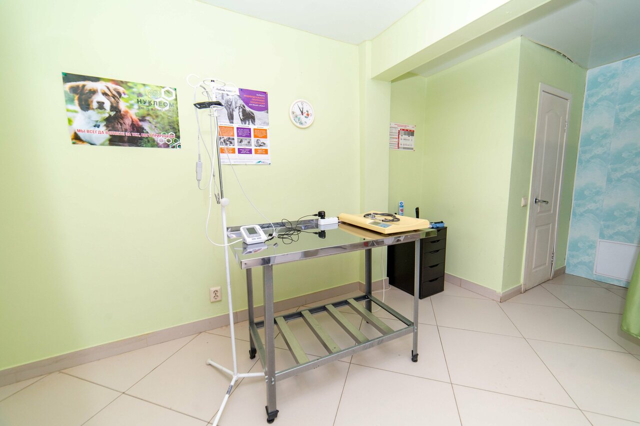 Фото клиники 81713