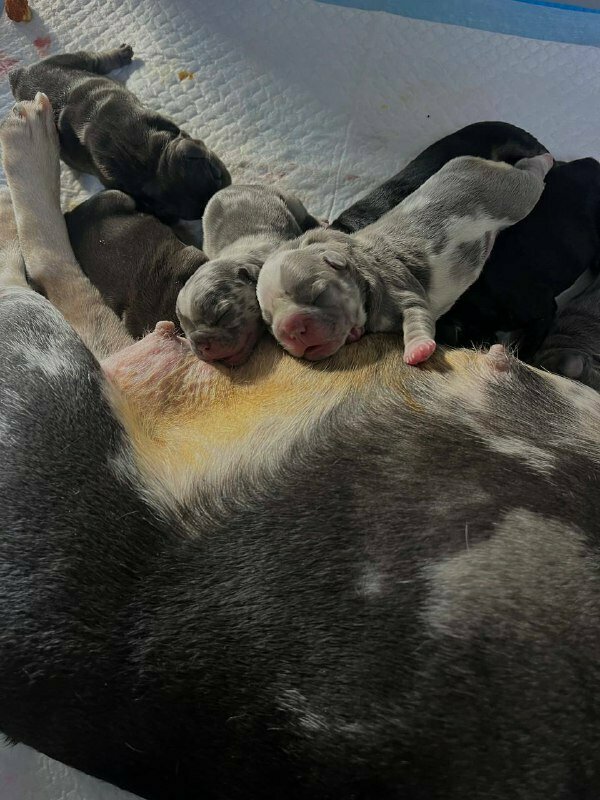 more clinic photos 3737