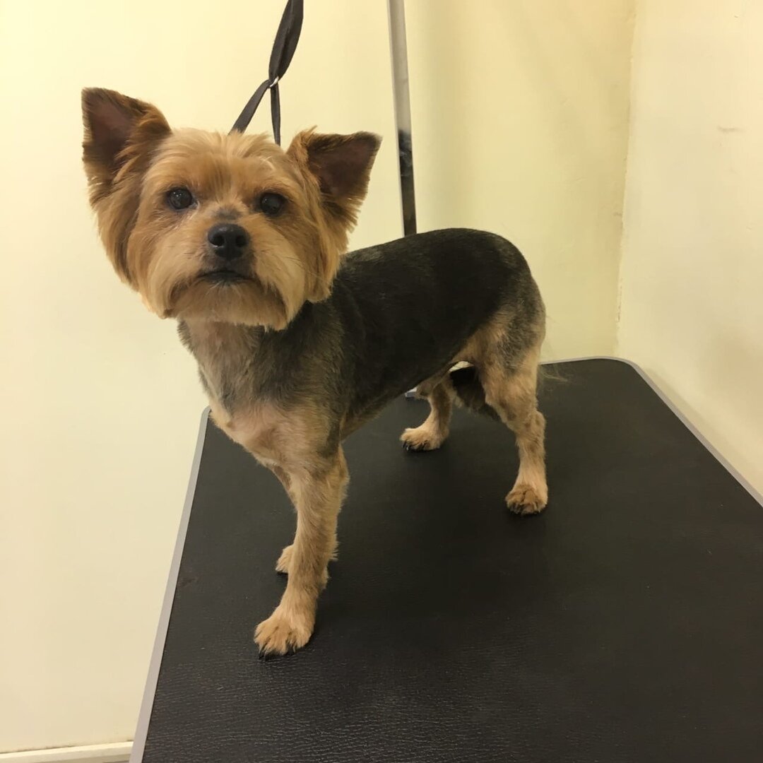 clinic general image