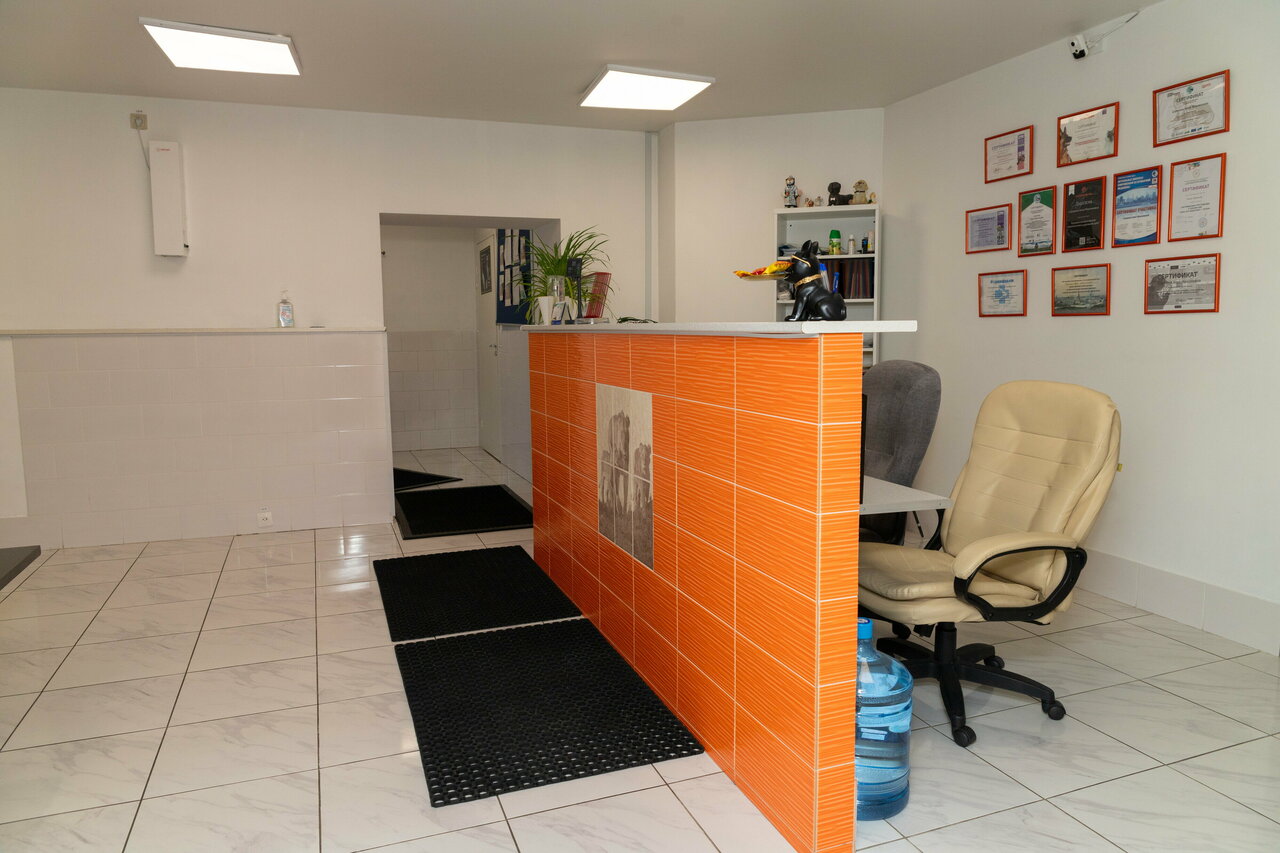 Хакуна Матата