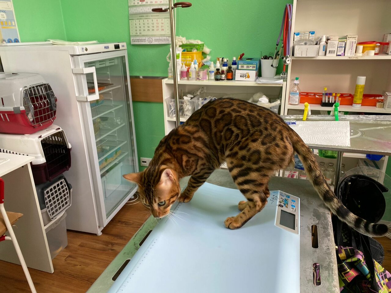 more clinic photos 29946