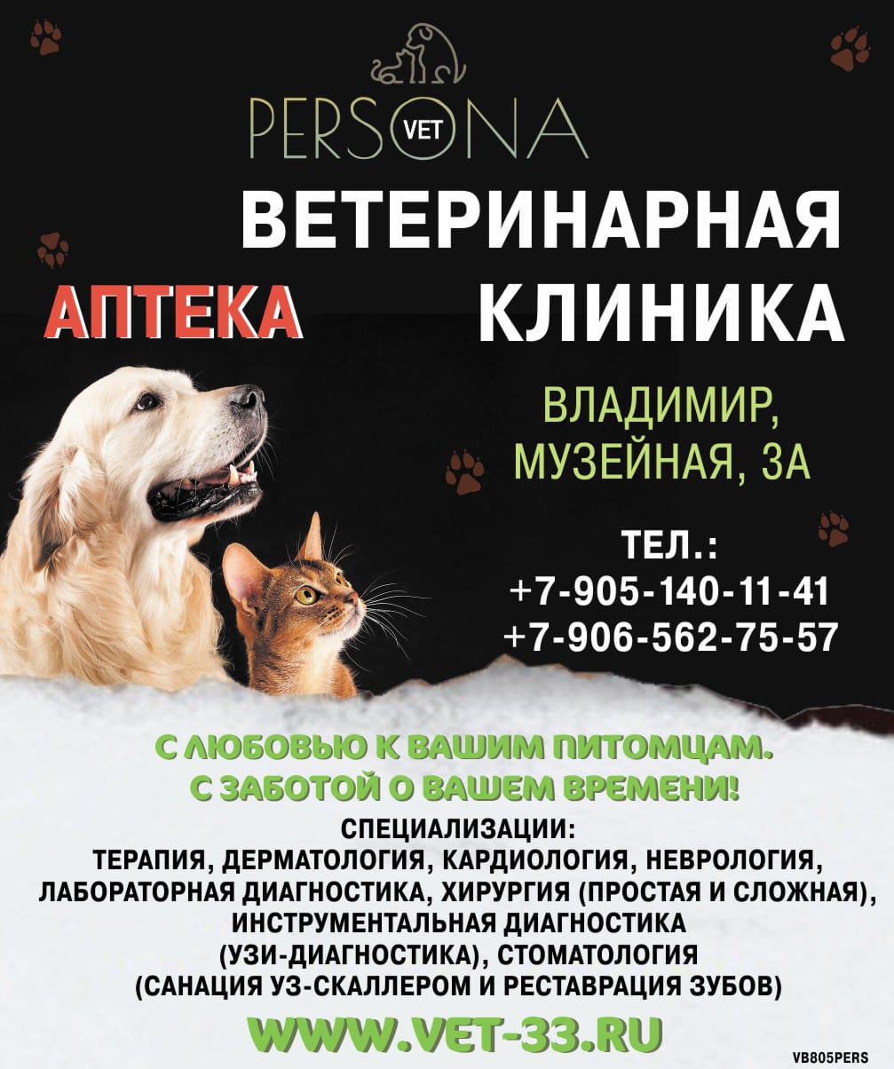 Логотип клиники