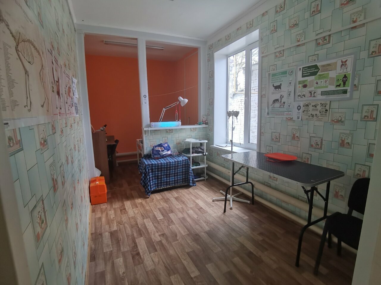 Фото клиники 37369