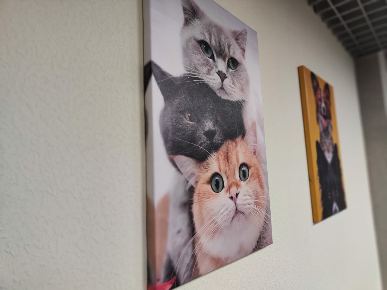 more clinic photos 40056