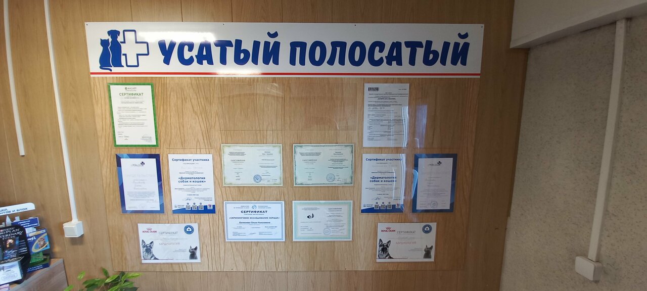 Фото клиники 42671