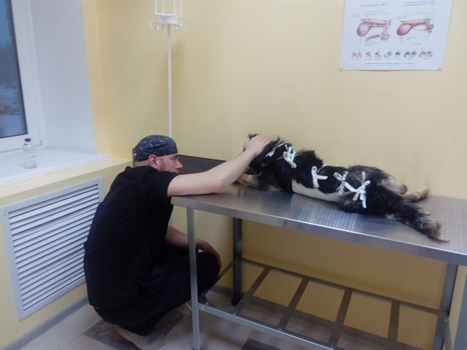 more clinic photos 19602