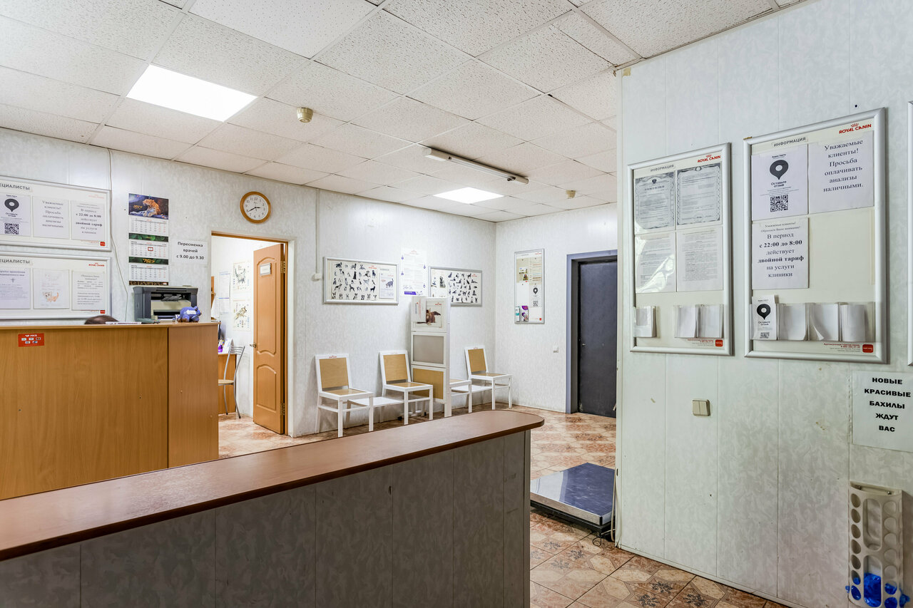 Зверополис