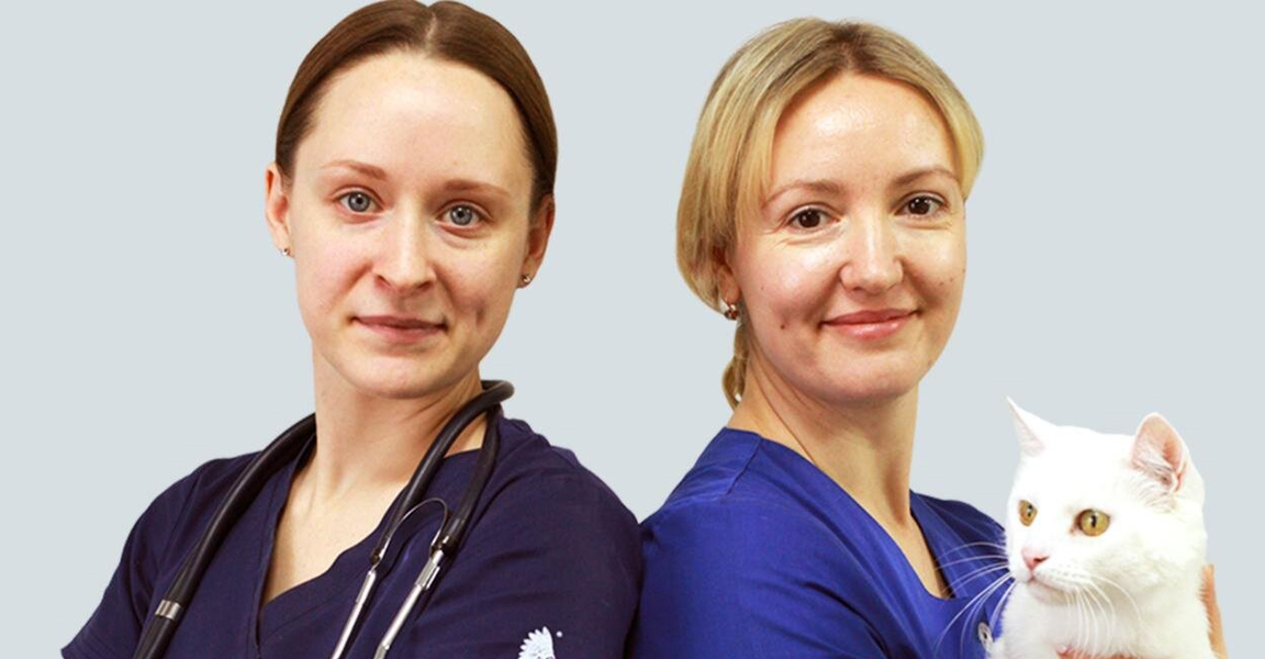 Усатый Полосатый