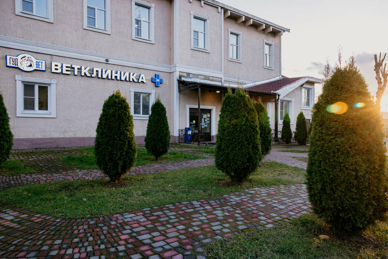 Фото клиники 68387