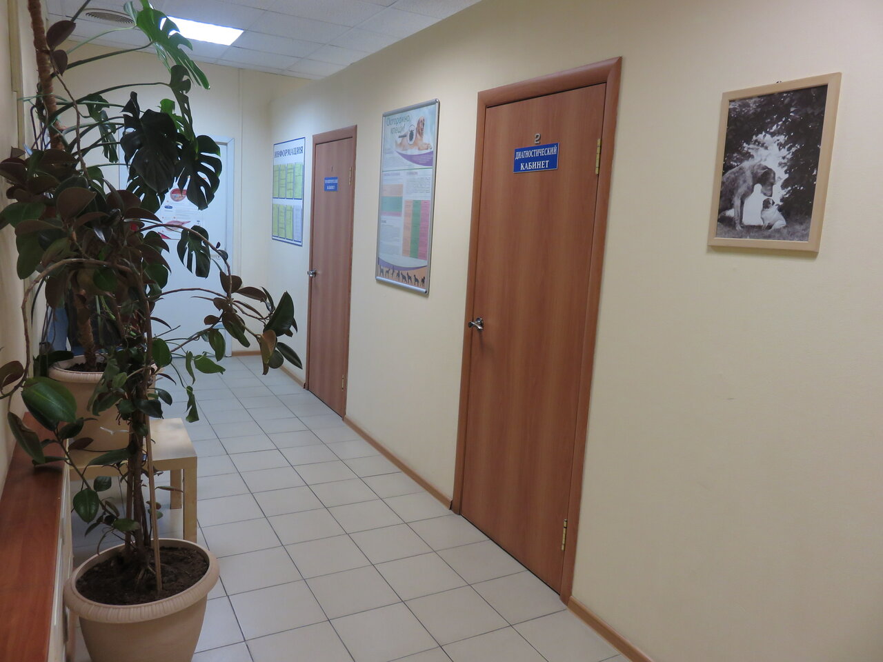 Фото клиники 62043