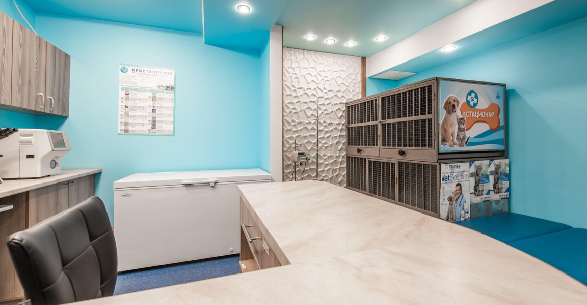 Сытая Морда