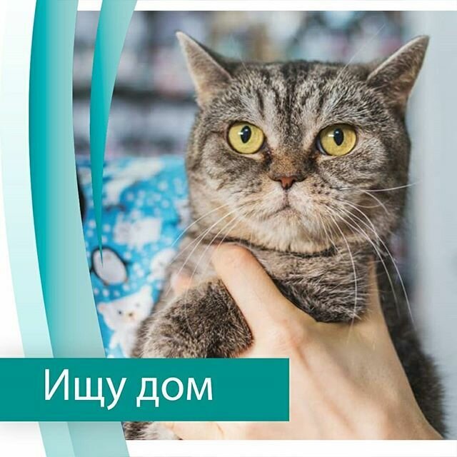 Фото клиники 40491