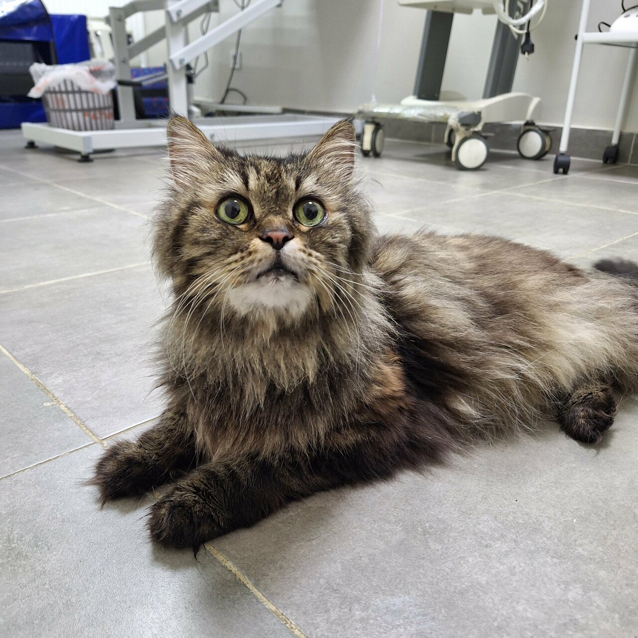 more clinic photos 36918