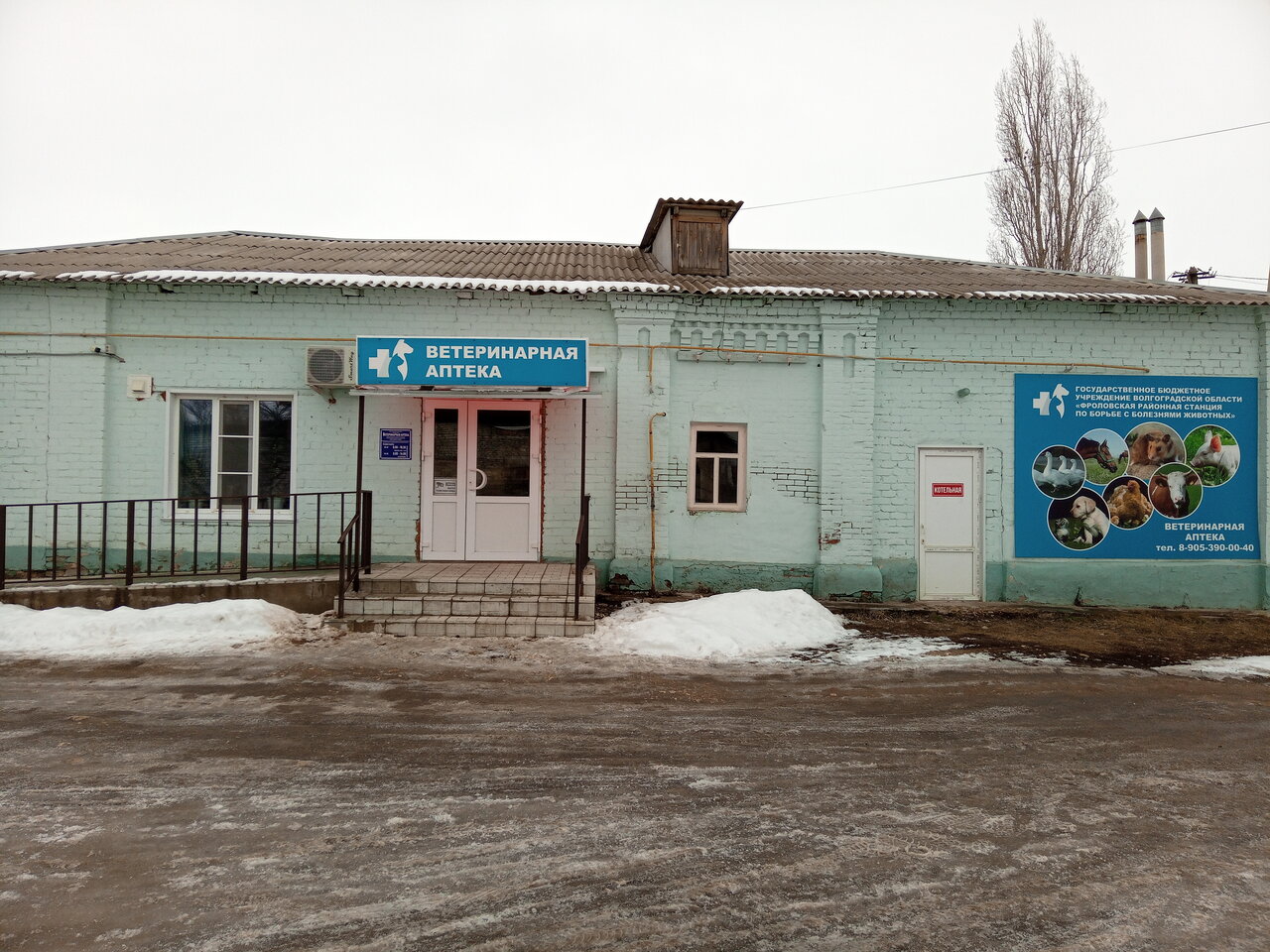 Ветеринария