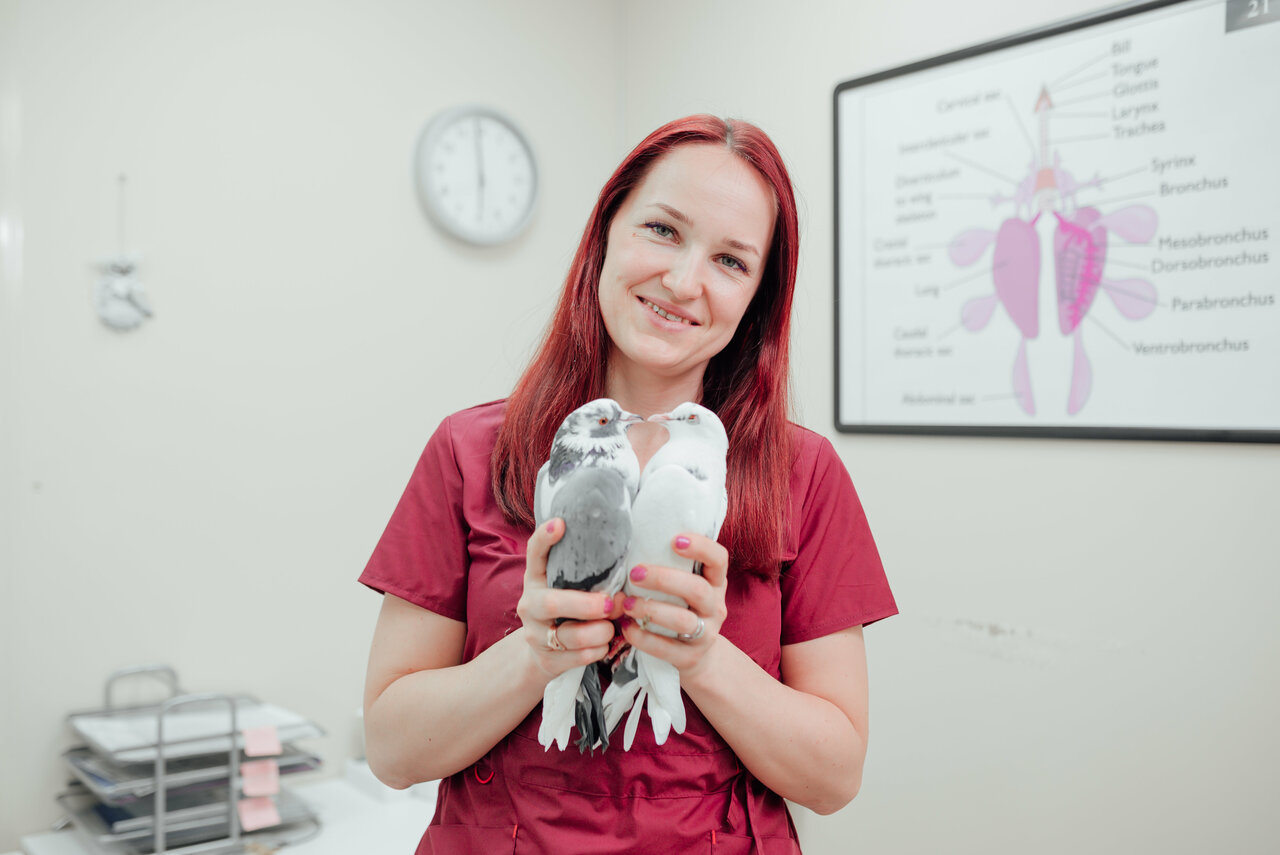 Чижик Пыжик