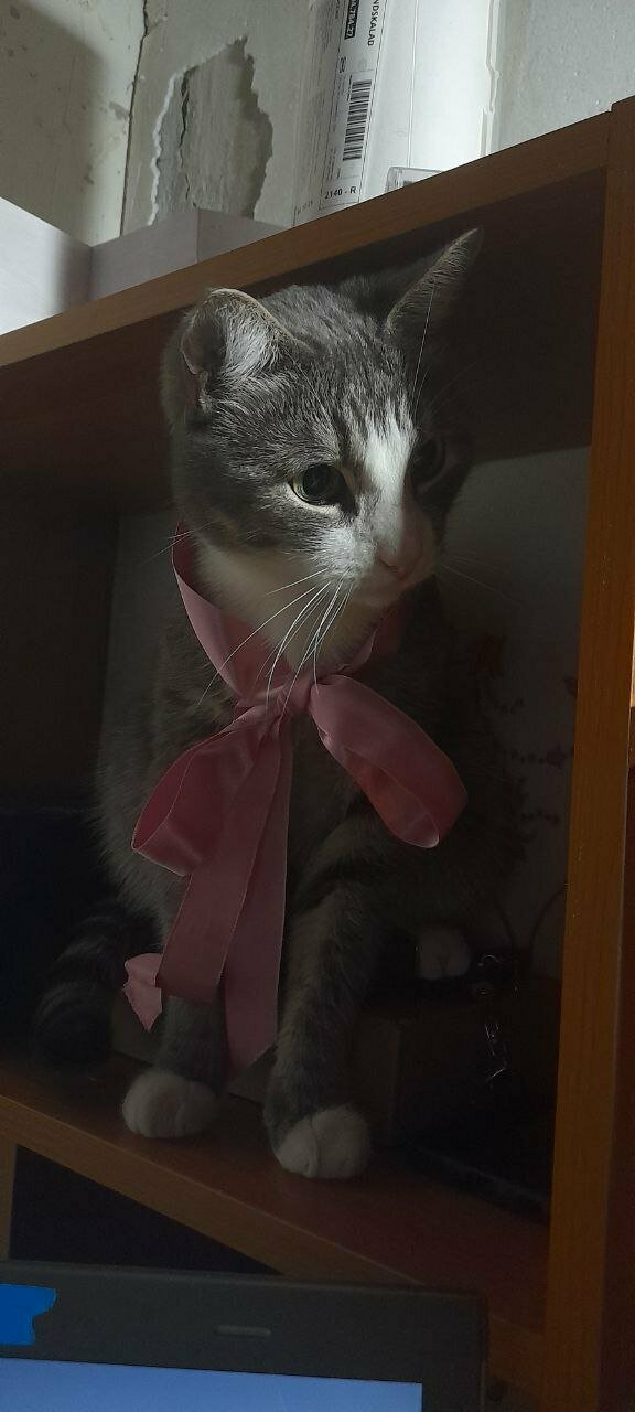 more clinic photos 48433