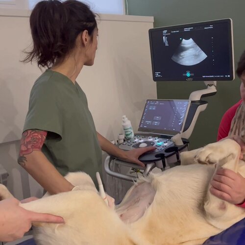 clinic general image