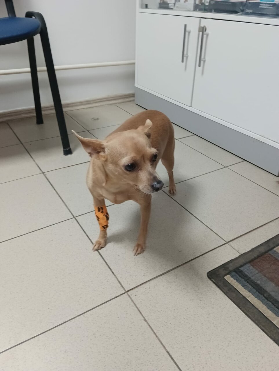 more clinic photos 36696