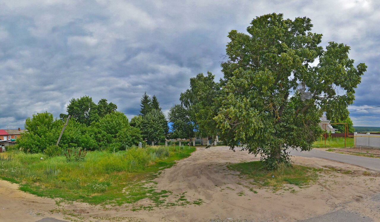 Фото клиники Рамонская райСББЖ