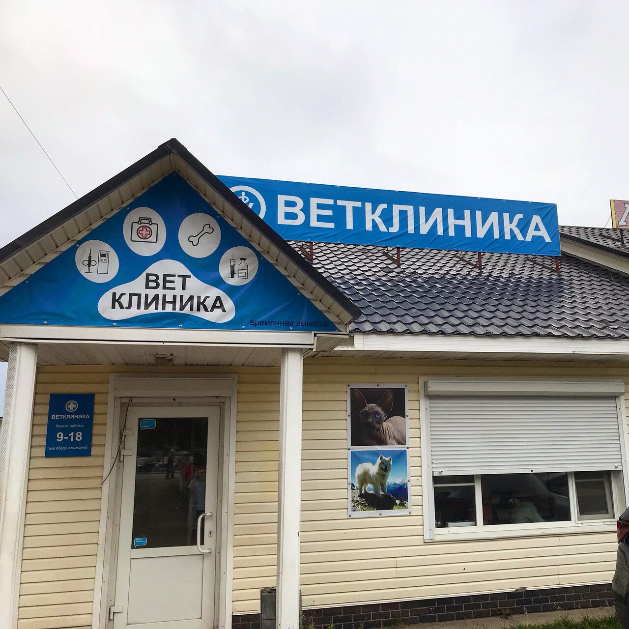 Фото клиники Белый волк