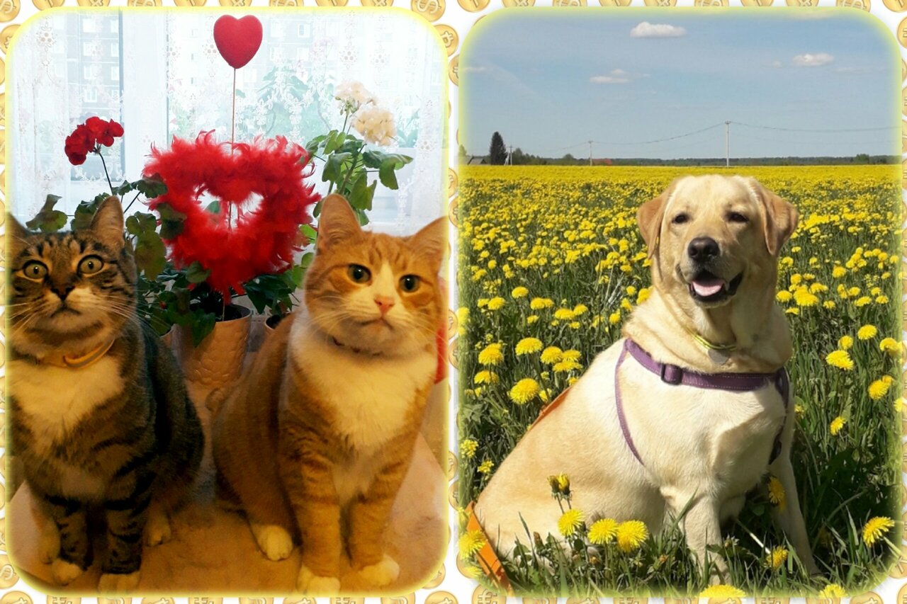 clinic general image