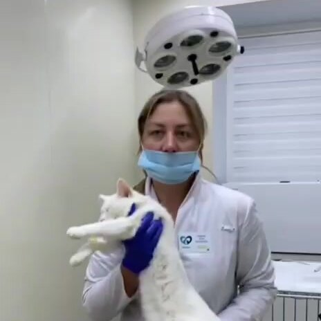 clinic general image