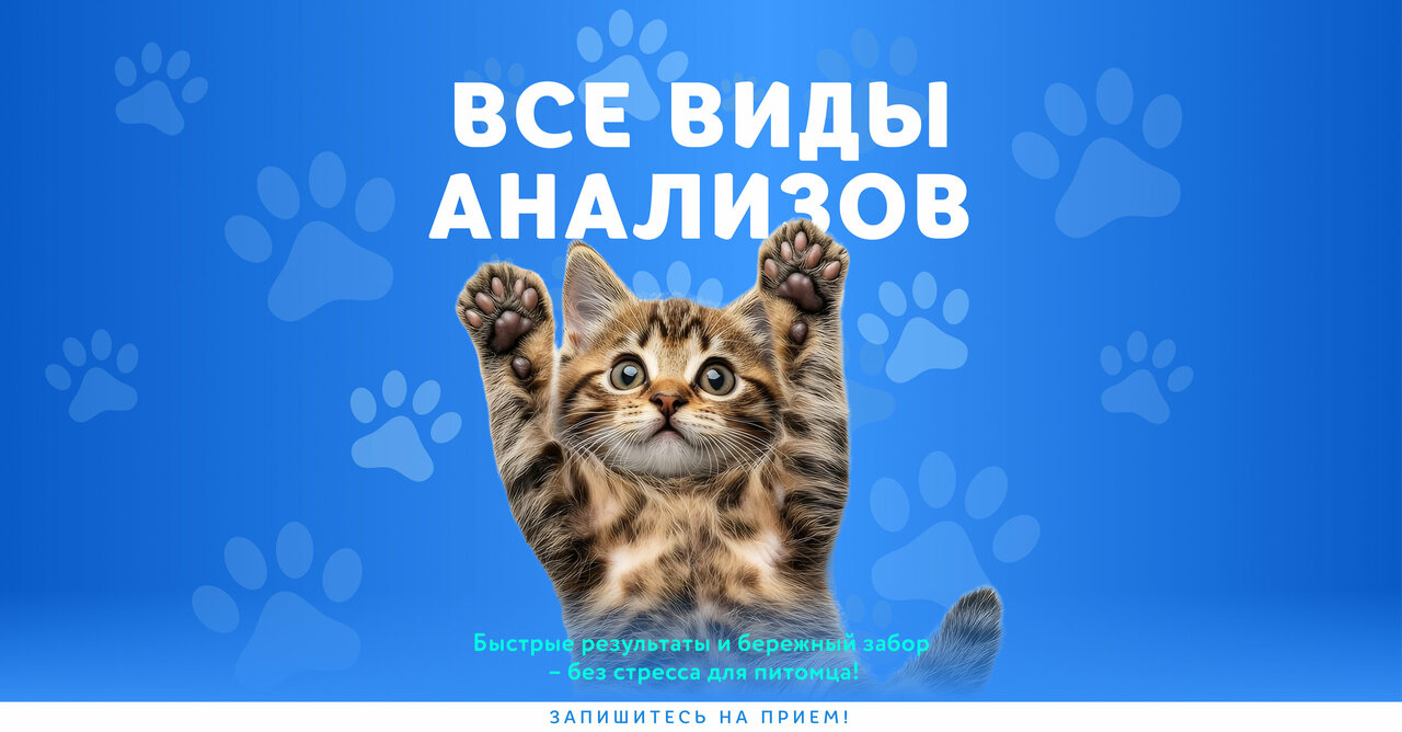 Фото «Веда»