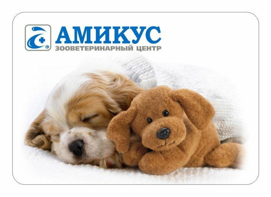 clinic general image