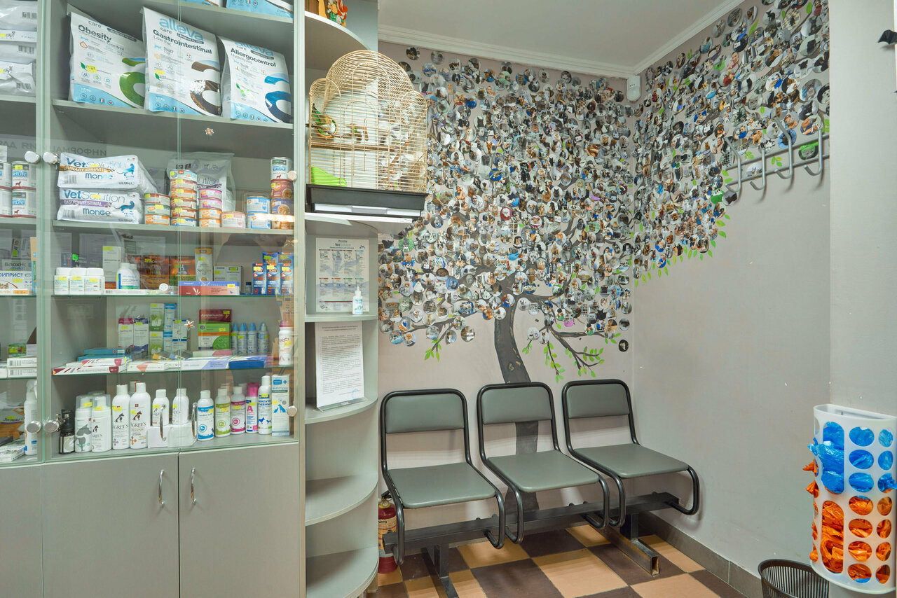 more clinic photos 84261