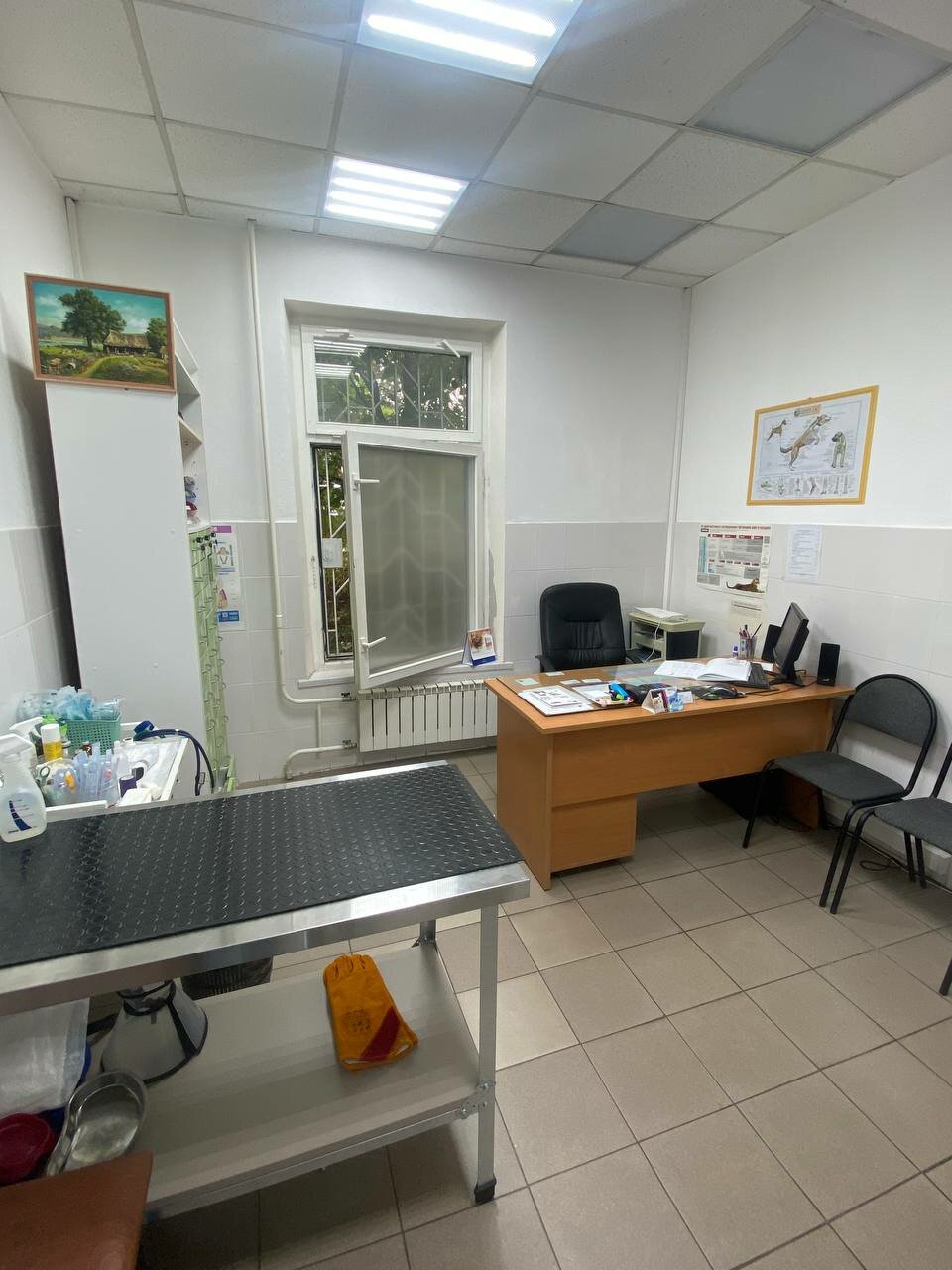 Фото клиники 28252