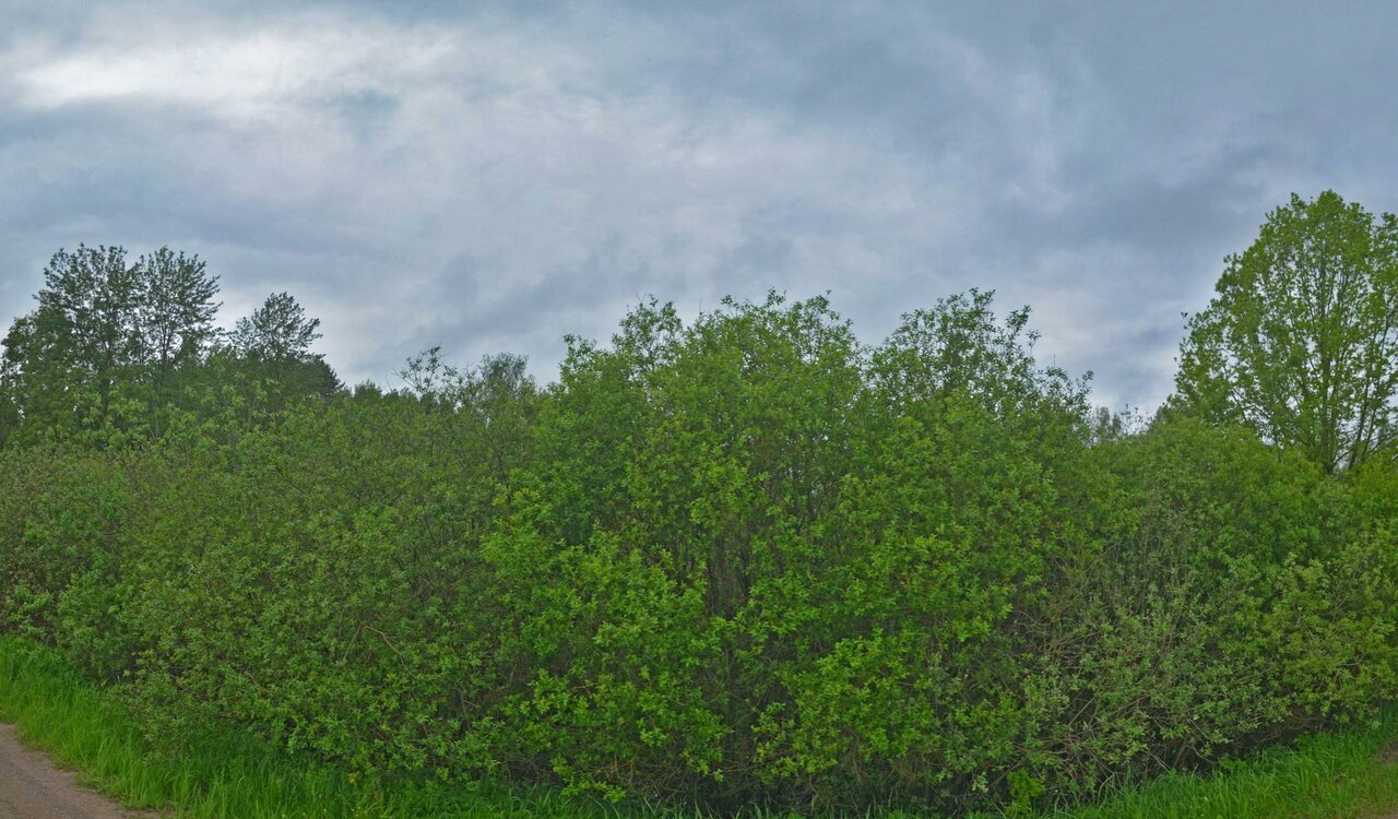 clinic general image