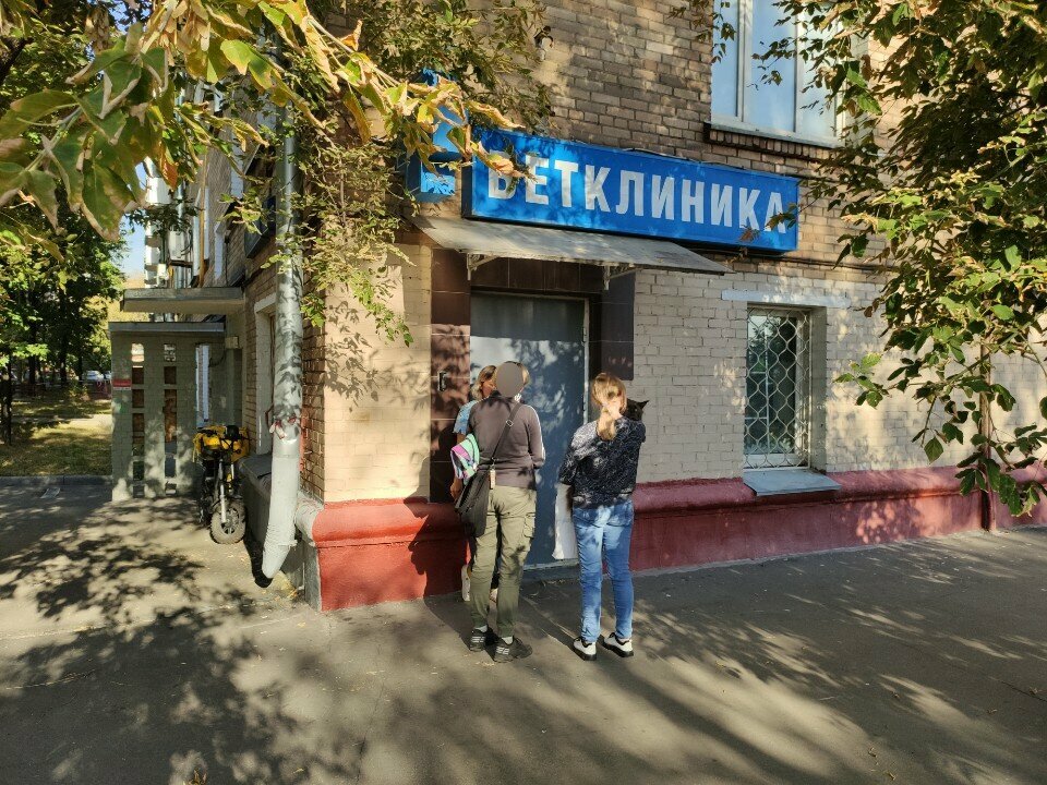 Фото «Абсолют Вет»
