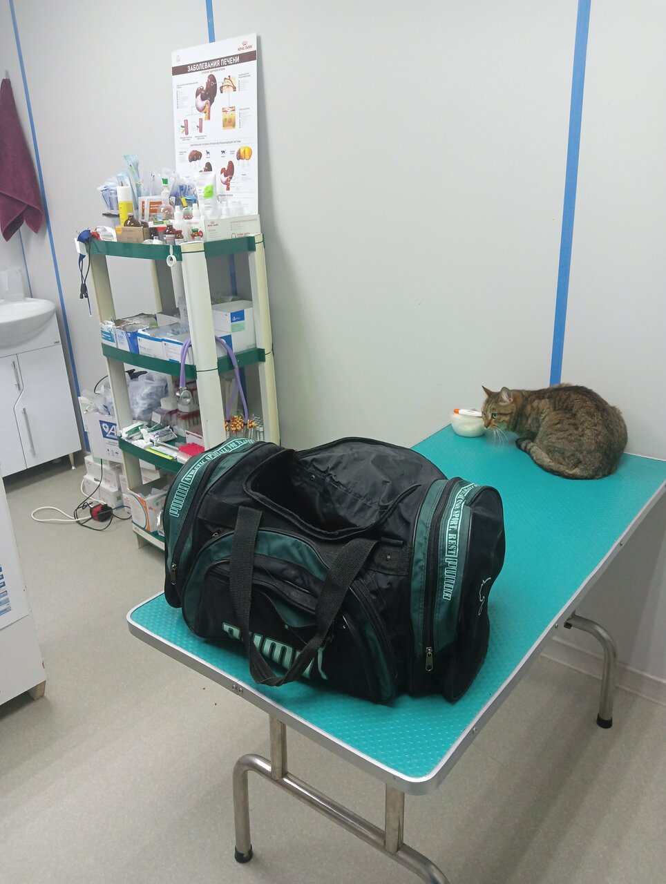 more clinic photos 762