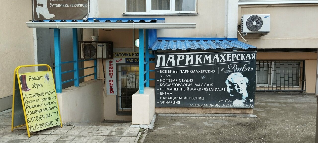 Фото «Династия»