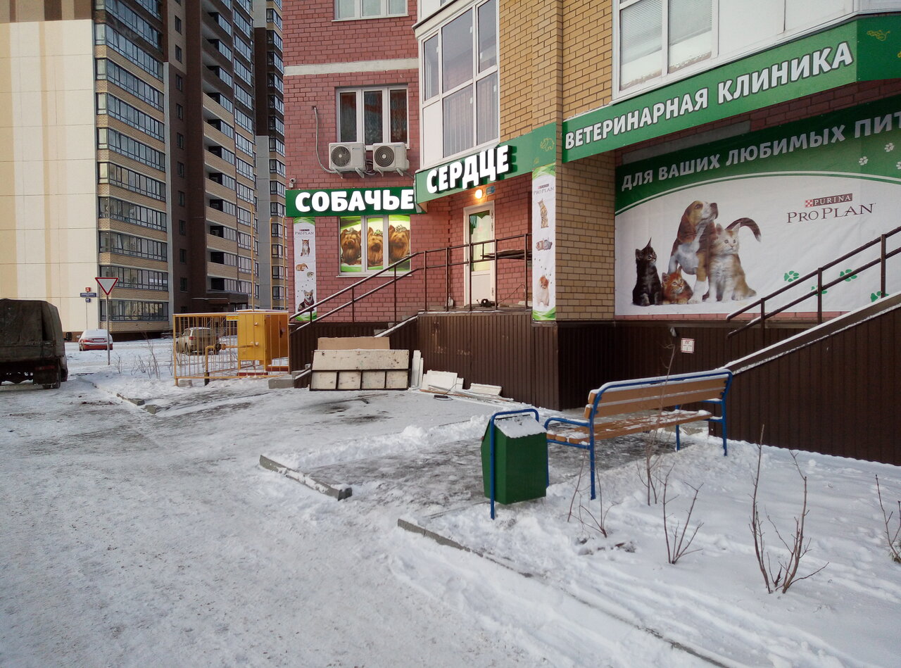 Собачье сердце