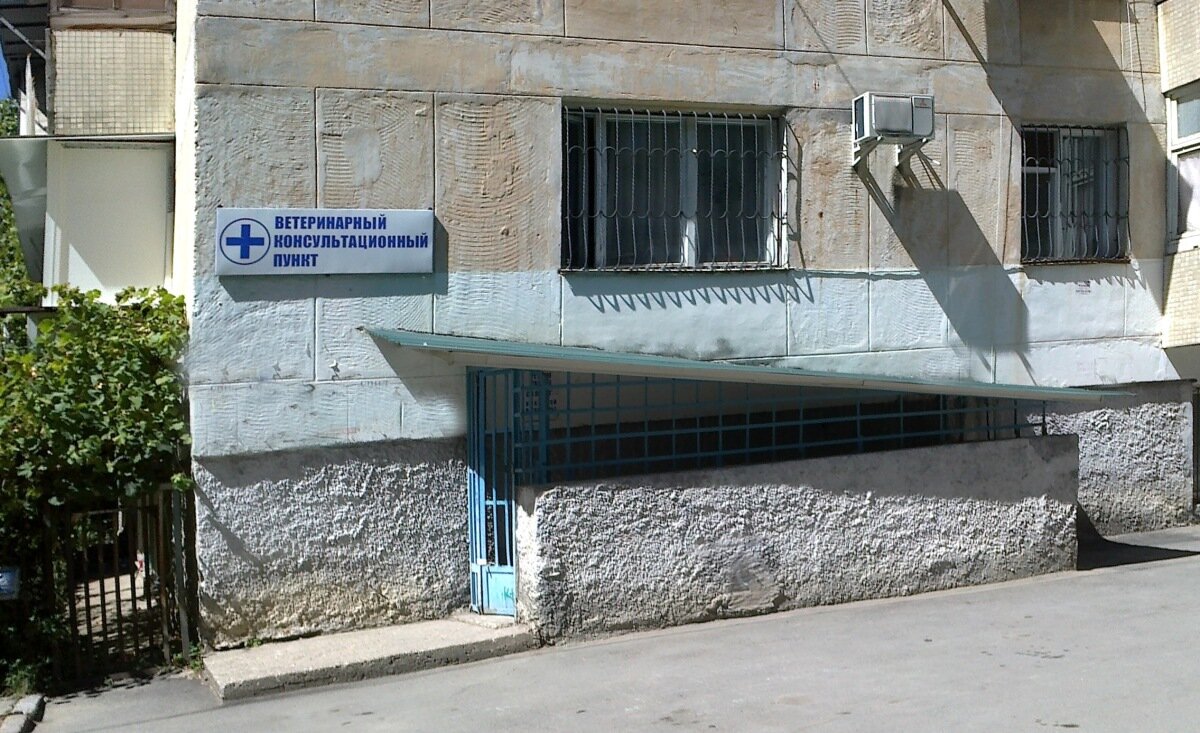 Фото «Ветеринарная клиника»